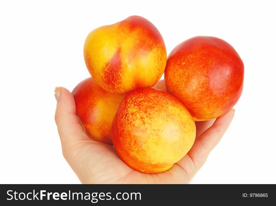 Some big fresh nectarines in the human arm isolated on the white. Some big fresh nectarines in the human arm isolated on the white.