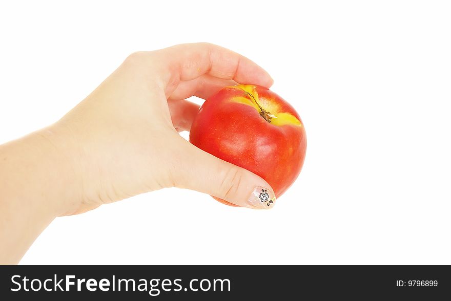 Nectarine in woman arm.