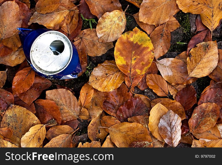 Can of soda left in the leaves. Can of soda left in the leaves