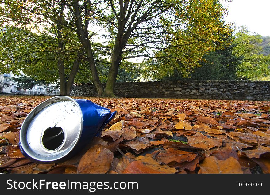 Can of soda left in the leaves. Can of soda left in the leaves