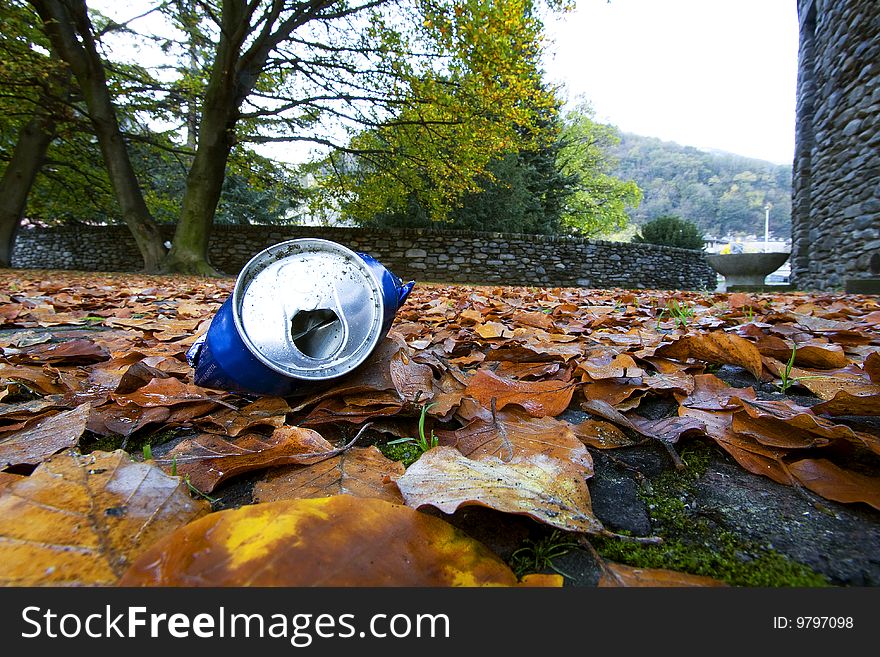 Can of soda left in the leaves. Can of soda left in the leaves