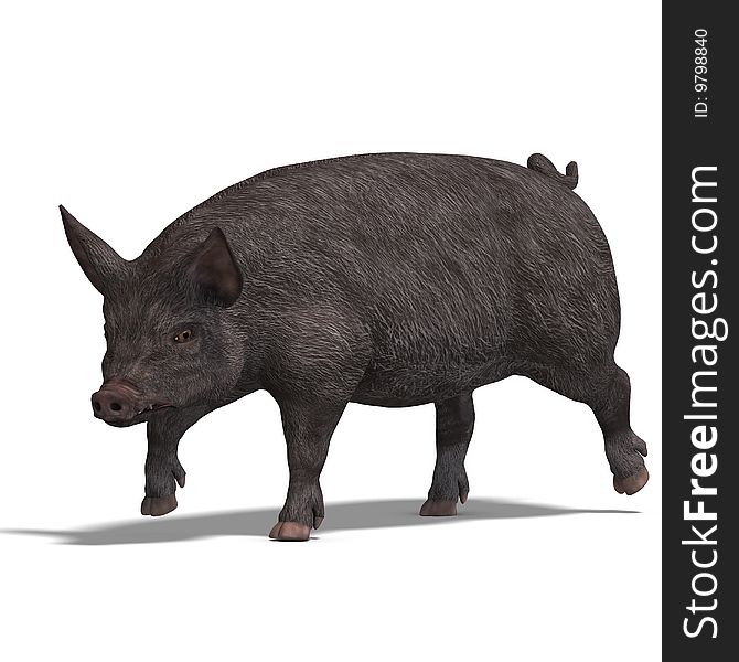 Rendering of a pig with shadow and clipping path over white. Rendering of a pig with shadow and clipping path over white