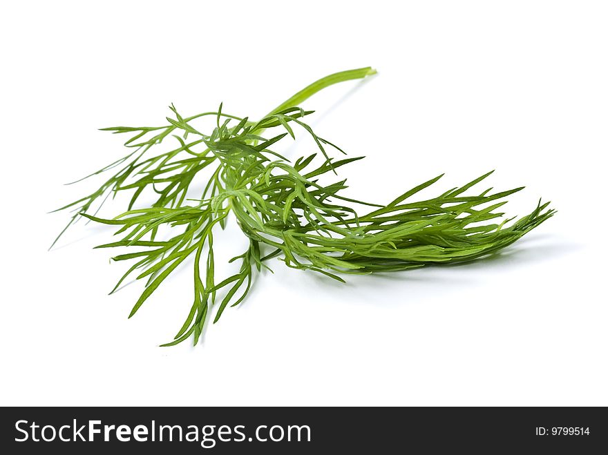 A sprig of fresh dill isolated on white.