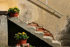 Buckets With Pansies Royalty Free Stock Image Buckets With Pansies Royalty Free Stock Image