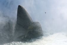 Niagara Falls-Horseshoe Royalty Free Stock Image Niagara Falls-Horseshoe Royalty Free Stock Image