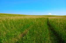 Road In Field Royalty Free Stock Images Road In Field Royalty Free Stock Images