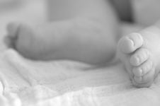 Baby Feet Royalty Free Stock Photography Baby Feet Royalty Free Stock Photography