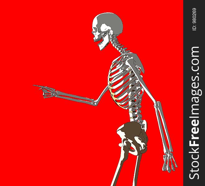 A skeleton in a pose. A skeleton in a pose.