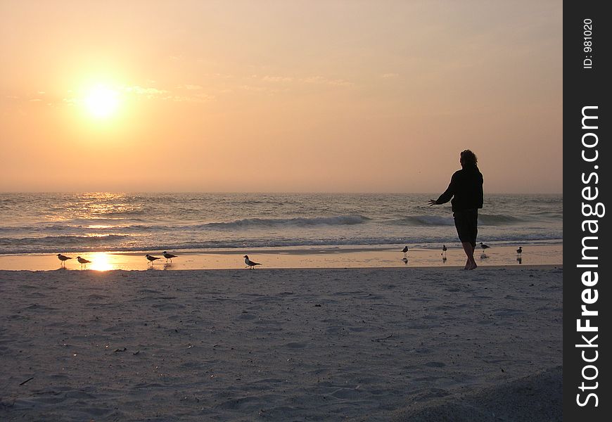 Outline of a young man peacefully minding the birds along the coast of Florida at sunset. Outline of a young man peacefully minding the birds along the coast of Florida at sunset