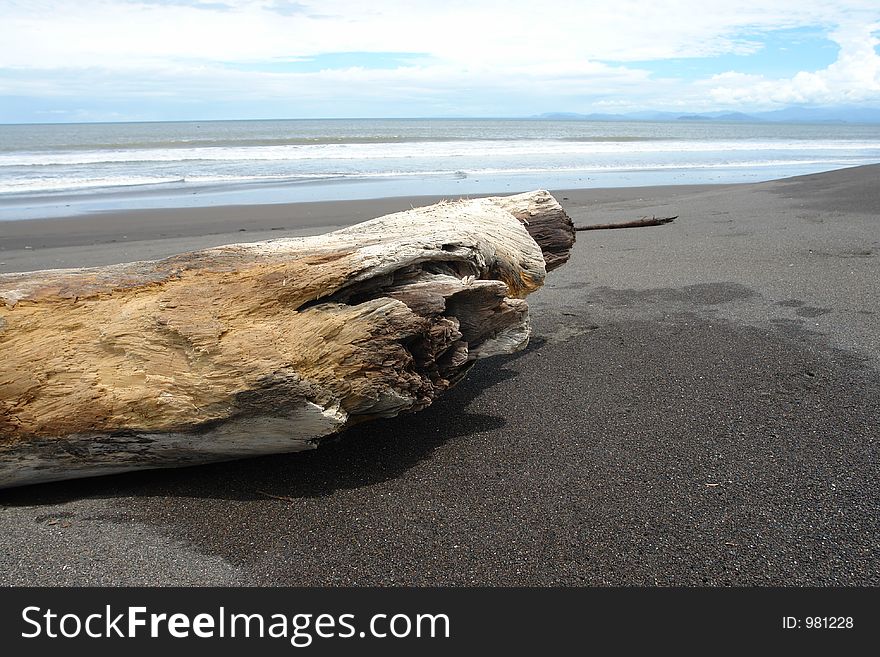 Wood piece on the beach. Wood piece on the beach