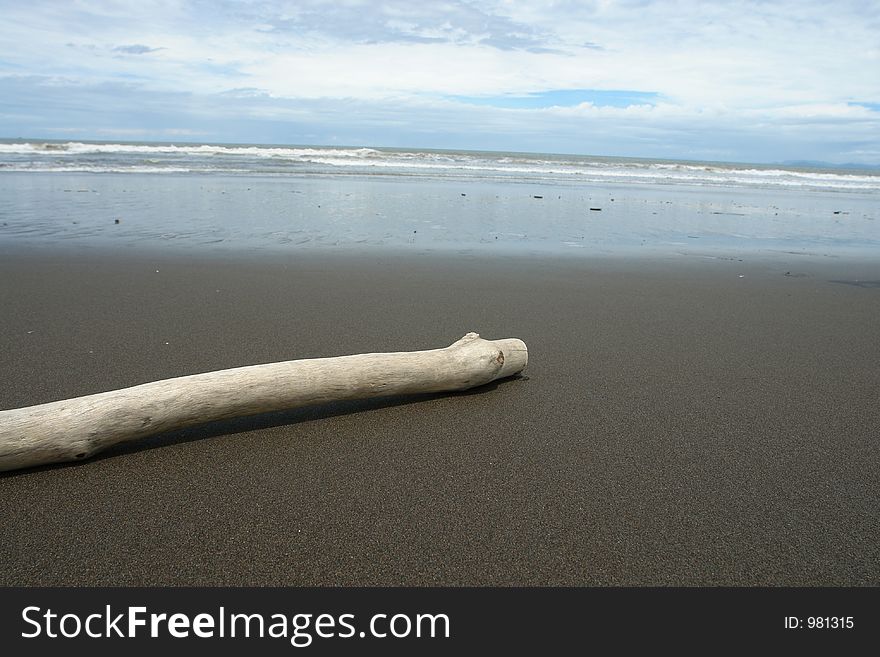 Wood piece on the beach. Wood piece on the beach