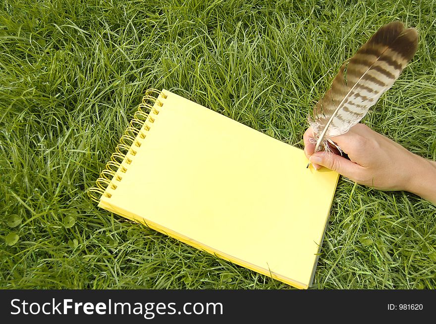 Yellow notebook in grass