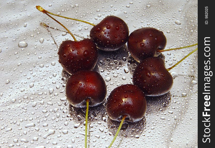 Black cherries with water drops. Black cherries with water drops