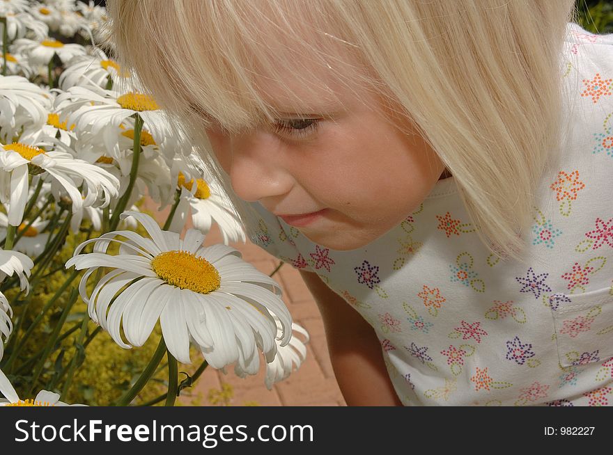 A girl smelling a flower. A girl smelling a flower