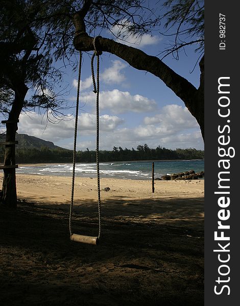 Kauai beach with trees and swing. Kauai beach with trees and swing