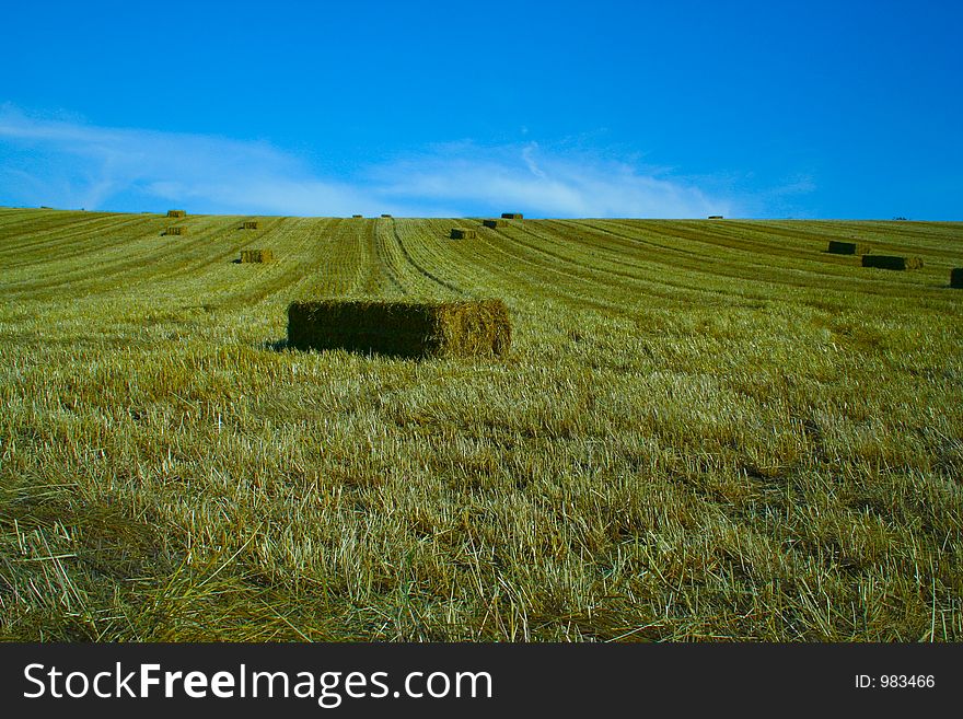 Bales of starw in a field against a blue sky. Bales of starw in a field against a blue sky