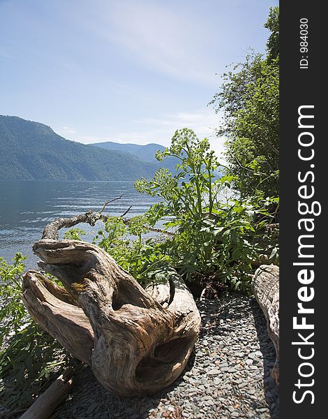 Teletskoe lake in Altai