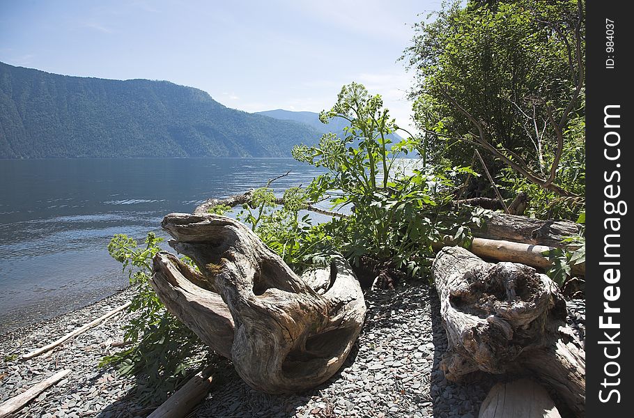 Teletskoe lake in Altai