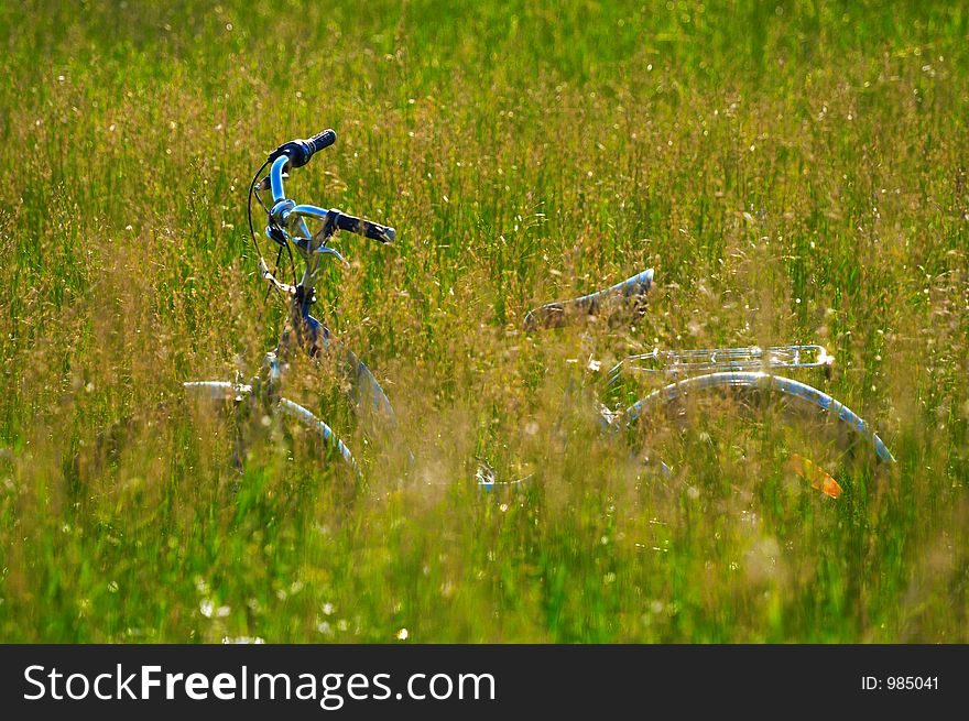 Bike in the grass