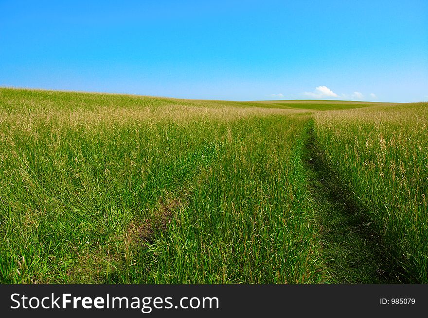 Road in field