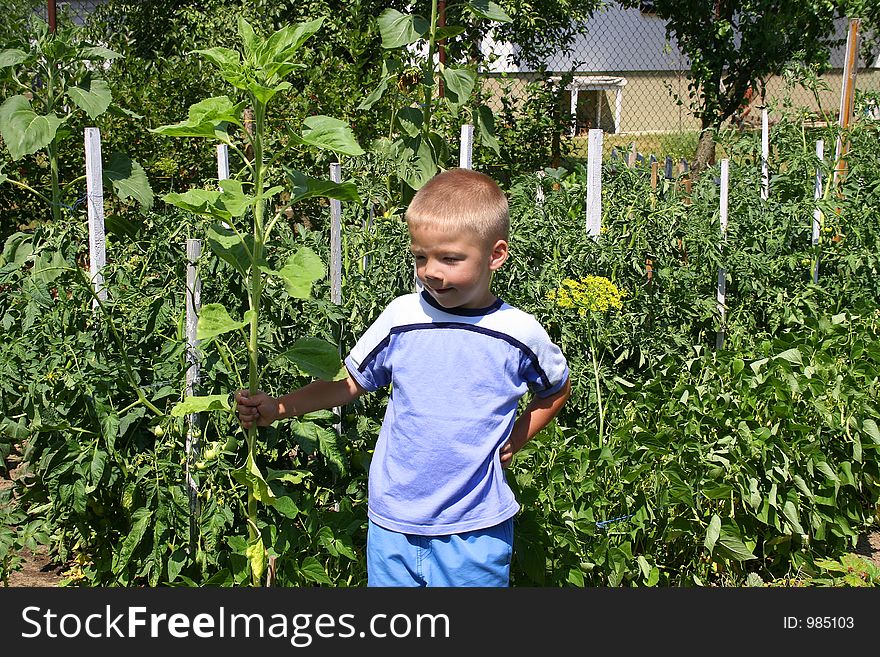 Young Gardener Boy