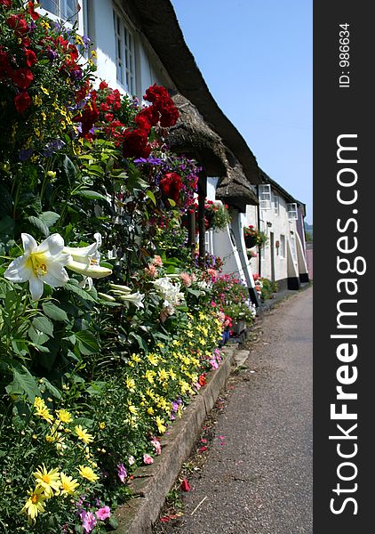 Flower-decked Cottages