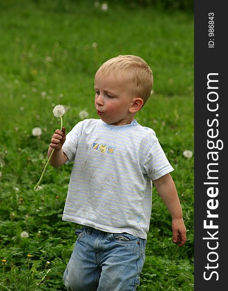 Toddler boy blowing on dandelion in a field. Toddler boy blowing on dandelion in a field