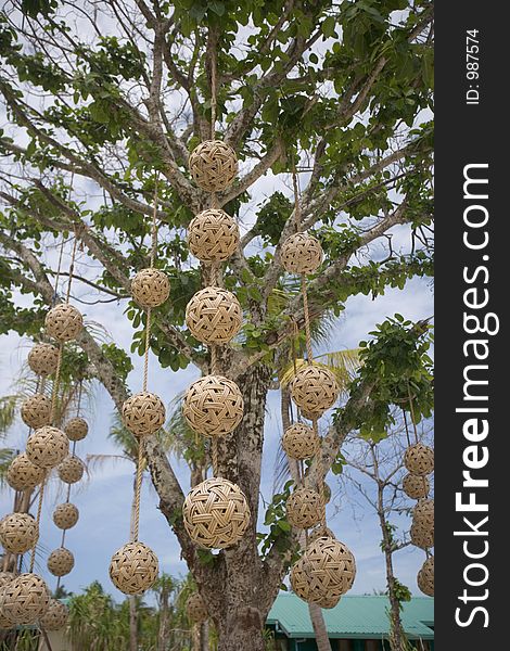 Hanging rattan balls from a tropical tree. Hanging rattan balls from a tropical tree