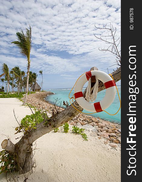 Beach scene in the Maldives. Beach scene in the Maldives