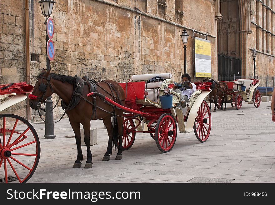 Horse & carriage waiting for fare with driver reading magazine. Horse & carriage waiting for fare with driver reading magazine