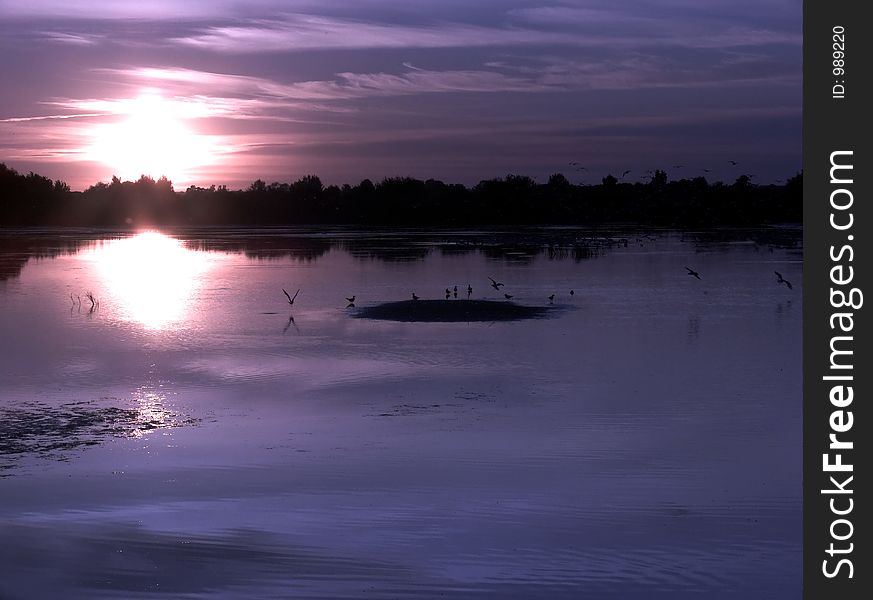 Purple Sunset By The Lake