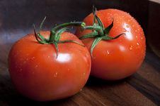 Tomatos Royalty Free Stock Images