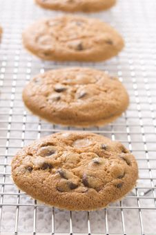 Chocolate Chip Cookies Royalty Free Stock Photo Chocolate Chip Cookies Royalty Free Stock Photo