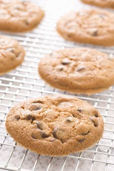 Chocolate Chip Cookies Stock Image Chocolate Chip Cookies Stock Image