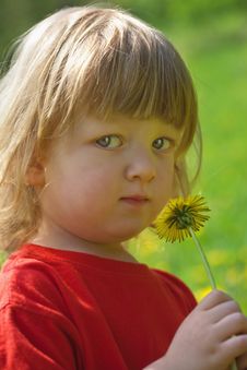 Boy With A Dandelion Stock Photo Boy With A Dandelion Stock Photo