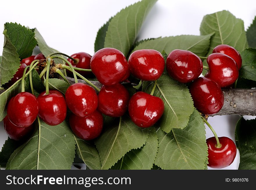 Close up with red, fresh cherries for a healthy life. Close up with red, fresh cherries for a healthy life