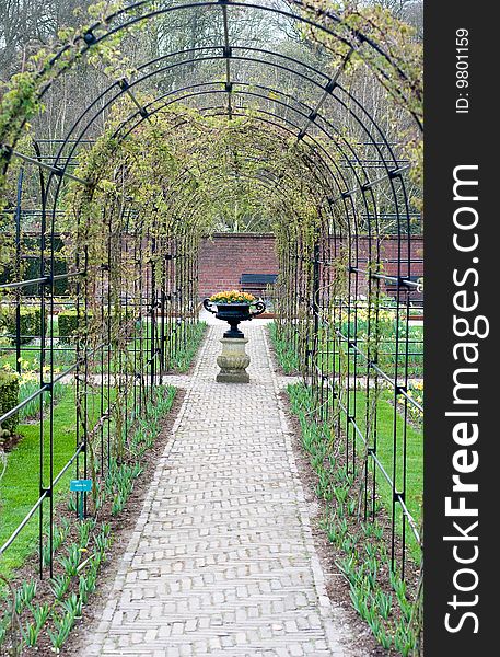 Nice corner of Keukenhoff gardens, Netherlands