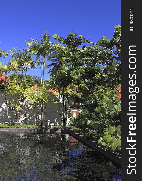 Beautiful spa surrounded by a pool in lush tropical background. Beautiful spa surrounded by a pool in lush tropical background