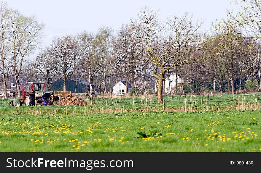 Farmer in a field in Oirschot, Netherlands. Farmer in a field in Oirschot, Netherlands