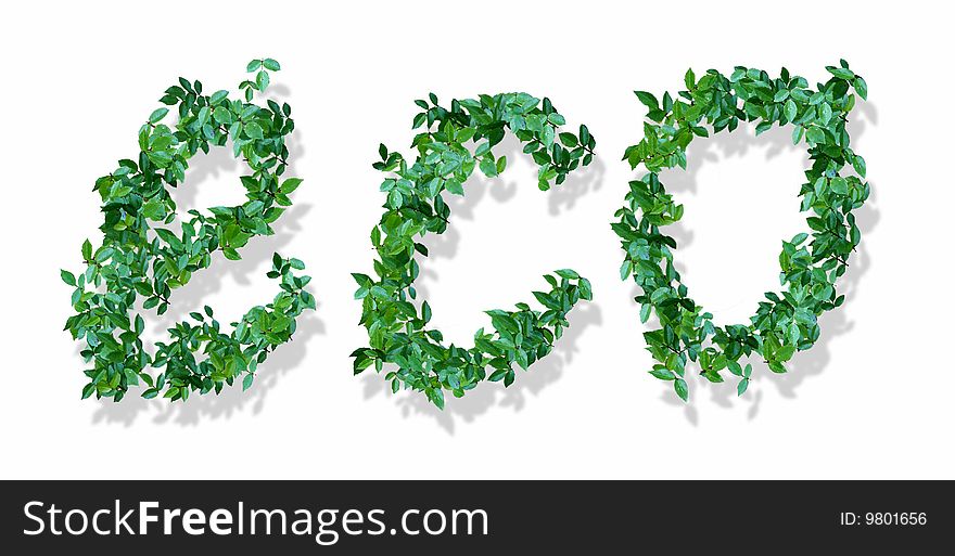 The word eco, made of green leaves. The word eco, made of green leaves