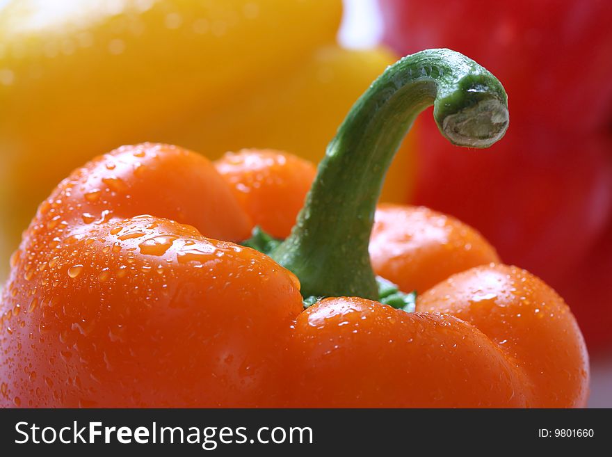 Bright colorful pepper with water drops. Bright colorful pepper with water drops