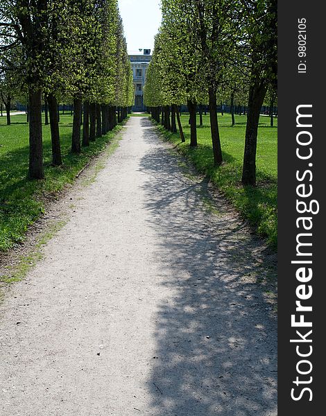 Alley of trees in Arkhangelskoe estate. Alley of trees in Arkhangelskoe estate