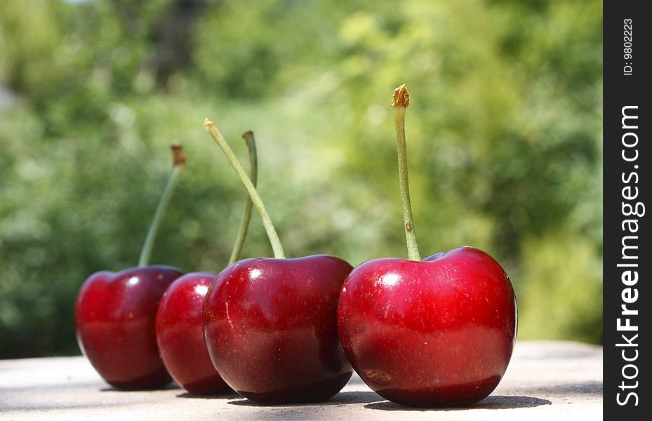 A row of four red cherries (closeup). A row of four red cherries (closeup).