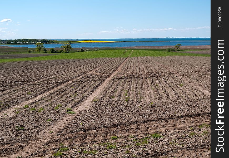 Agriculture plowed fields