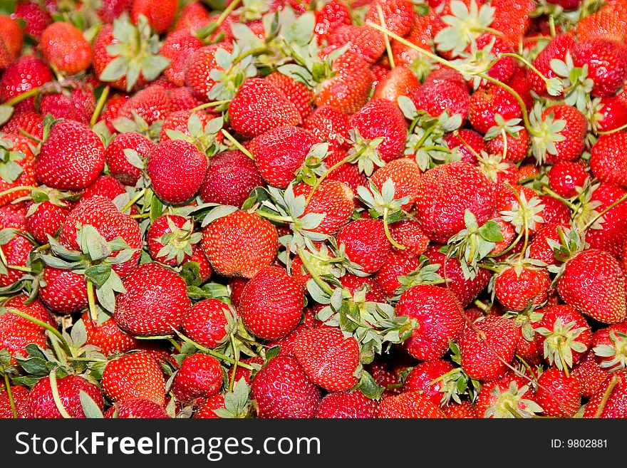 Close up of a group of fresh, succulent strawberries