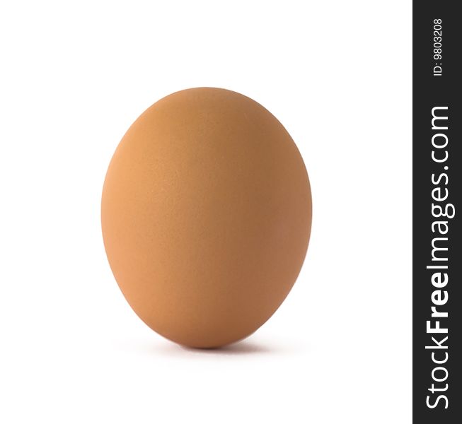 One egg on white background