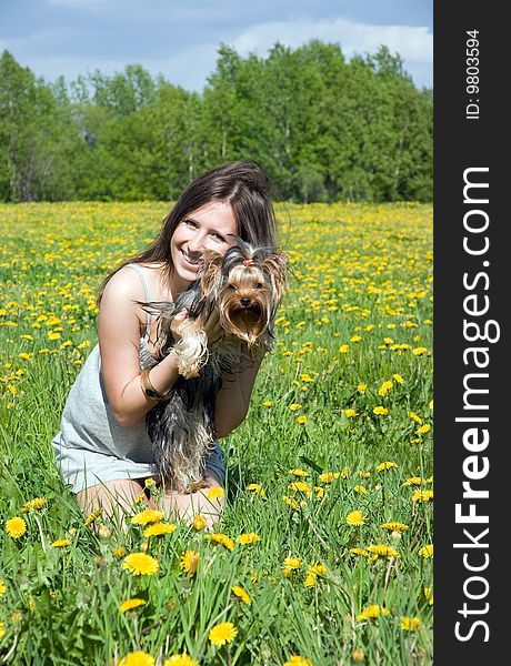 Portrait of the girl with puppy in field amongst dandelion. Portrait of the girl with puppy in field amongst dandelion