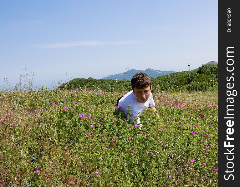 Teenager on flowering a meadow. Teenager on flowering a meadow
