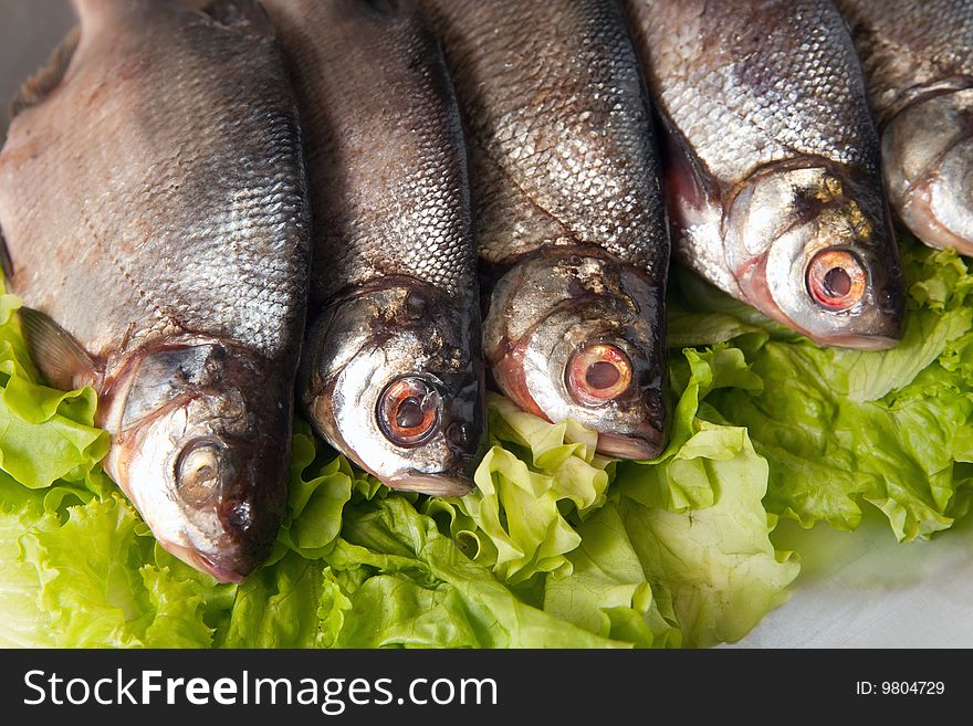 Fresh-water fish close-up on green lettuce