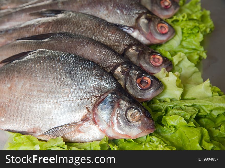Fresh-water fish close-up on green lettuce